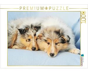 CALVENDO Puzzle Chiots Colley - Les Petits Collies conquièrent Le Monde 1000 Pieces 64 x 48 cm from Sista-Tierfoto
