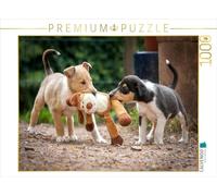 CALVENDO Puzzle Chiots Collie à Poil Court 1000 Pieces 64 x 48 cm from Laura Längsfeld