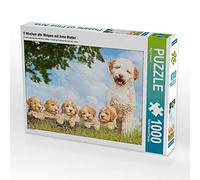 CALVENDO Puzzle Chiots de 5 semaines avec Leur mère 1000 Pieces 64 x 48 cm from Sista-Tierfoto