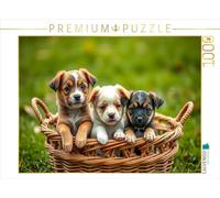 CALVENDO Puzzle Chiots Mélangés | 1000 pièces Taille de la Ponte 64 x 48 cm Puzzle Photo pour des Heures heureuses
