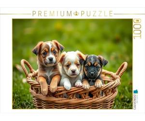CALVENDO Puzzle Chiots Mélangés | 1000 pièces Taille de la Ponte 64 x 48 cm Puzzle Photo pour des Heures heureuses