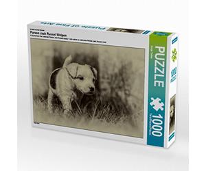 CALVENDO Puzzle Chiots Parson Jack Russell 1000 Pieces 64 x 48 cm from Sonja Teßen