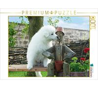 CALVENDO Puzzle Chiots Samoyèdes 1000 Pieces 64 x 48 cm from Verena Scholze