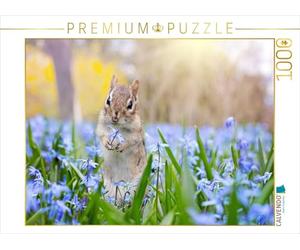 CALVENDO Puzzle Chipmunk dans la Prairie au Printemps 1000 Pieces 64 x 48 cm from Elisabeth Stanzer