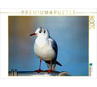 CALVENDO Puzzle Choix des mouettes 1000 Pieces 64 x 48 cm from Mico10