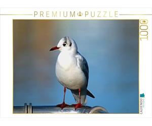 CALVENDO Puzzle Choix des mouettes 1000 Pieces 64 x 48 cm from Mico10