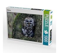 CALVENDO Puzzle Chouette hulotte 1000 Pieces 64 x 48 cm from Diane Jordan