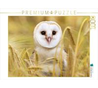 CALVENDO Puzzle Chouettes : Chouette effraie chassant des Souris dans Un Champ. 1000 Pieces 64 x 48 cm from Verlag