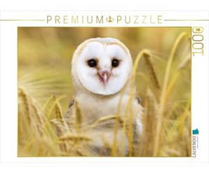 CALVENDO Puzzle Chouettes : Chouette effraie chassant des Souris dans Un Champ. 1000 Pieces 64 x 48 cm from Verlag
