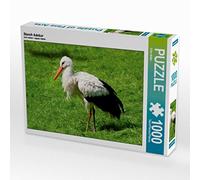 CALVENDO Puzzle Cigogne Adebar 1000 Pieces 64 x 48 cm from Erika Müller