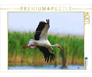 CALVENDO Puzzle Cigogne Blanche 1000 Pieces 64 x 48 cm from Wilhelm Eisenreich