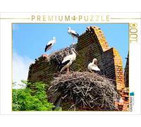 CALVENDO Puzzle Cigognes sur Les ruines de l'église de Kraupischken 1000 Pieces 64 x 48 cm from Henning Von Loewis of Menar