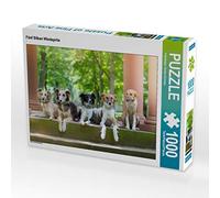 CALVENDO Puzzle Cinq Silken Windsprite 1000 Pieces 64 x 48 cm from Verena Scholze