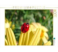 CALVENDO Puzzle Coccinelle 1000 Pieces 64 x 48 cm from Anette Jäger