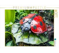 CALVENDO Puzzle Coccinelle en Métal Artistique: Décoration de Jardin Unique en Matériau Recyclé | 1000 Pièces Taille de Pose 64 * 48cm Photo Puzzle pour Heures de Bonheur