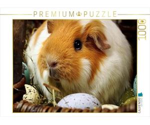 CALVENDO Puzzle Cochon de Pâques 1000 Pieces 64 x 48 cm from Hermann Klecker