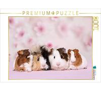 CALVENDO Puzzle Cochon d'Inde 1000 Pieces 64 x 48 cm from Jeanette Hutfluss