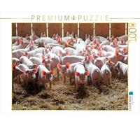 CALVENDO Puzzle Cochons 1000 Pieces 64 x 48 cm from Patrice Thebault