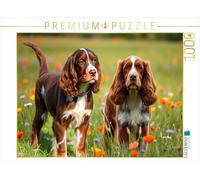 CALVENDO Puzzle Cocker Spaniel Américain Mignon | 1000 Pièces Taille de la Lege 64 * 48cm Photo Puzzle pour Heures de Bonheur