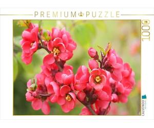 CALVENDO Puzzle Coing d'ornement Japonais à Fleurs 1000 Pieces 64 x 48 cm from Gisela Kruse