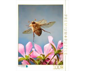 CALVENDO Puzzle Coléoptère de Juin (Amphimallon solstitiale) 1000 Pieces 48 x 64 cm from André Skonieczny