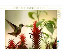 CALVENDO Puzzle Colibri émeraude 1000 Pieces 64 x 48 cm from Dirk Stamm
