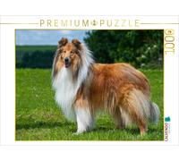 CALVENDO Puzzle Collie - Mon Meilleur ami 1000 Pieces 64 x 48 cm from Sista-Tierfoto