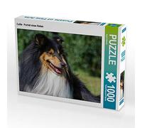 CALVENDO Puzzle Collie - Portrait d'un mâle 1000 Pieces 64 x 48 cm from Sista-Tierfoto