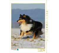 Puzzle CALVENDO Les joies de l'hiver avec un colley | 1000 pièces, format assemb