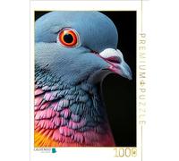 CALVENDO Puzzle Colombe | 1000 pièces de Taille de la Ponte 48 x 64 cm Puzzle Photo pour des Heures heureuses
