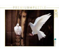 CALVENDO Puzzle Colombe Blanche 1000 Pieces 64 x 48 cm from Liselotte Brunner-Klaus