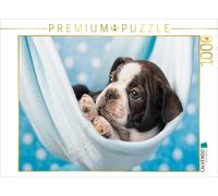 CALVENDO Puzzle Colored Boston Terrier Blue/White | 1000 pieces, finished size 2