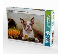 CALVENDO Puzzle Colored Boston Terrier Roxy Herbststimmung 1000 Teile Puzzle quer 1000 Pieces 64 x 48 cm from NiKaFotos