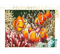 CALVENDO Puzzle Colorful clownfish explorer | 1000 pieces, finished size 25.2 ×