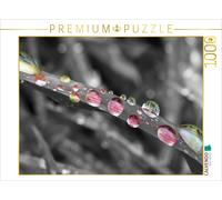 CALVENDO Puzzle Colorful Drops on Grass, Colorkey | 1000 pieces, finished size 2