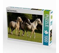 CALVENDO Puzzle Colts 1000 Pieces 64 x 48 cm from Sirius13