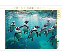 CALVENDO Puzzle Come into the realm of the penguins. | 1000 pieces, finished siz