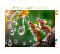 CALVENDO Puzzle Come on, let's catch these big drops | 1000 pieces, finished siz