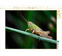 CALVENDO Puzzle Common Grasshopper: A Giant | 1000 pieces, finished size 25.2 ×