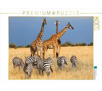CALVENDO Puzzle Communauté Animale dans la Savane 1000 Pieces 64 x 48 cm from Harald Pieta