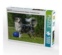 CALVENDO Puzzle Connu comme Un Chien coloré. Berger Australien - Planificateur Familial Haut 1000 Pieces 64 x 48 cm from Sista-Tierfoto