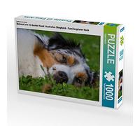 CALVENDO Puzzle Connu comme Un Chien coloré. Berger Australien - Planificateur Familial Haut 1000 Pieces 64 x 48 cm from Sista-Tierfoto