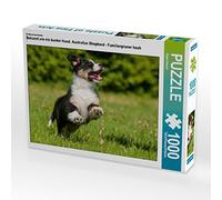 CALVENDO Puzzle Connu comme Un Chien coloré. Berger Australien - Planificateur Familial Haut 1000 Pieces 64 x 48 cm from Sista-Tierfoto