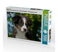 CALVENDO Puzzle Connu comme Un Chien coloré. Berger Australien - Planificateur Familial Haut 1000 Pieces 64 x 48 cm from Sista-Tierfoto