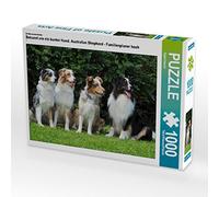 CALVENDO Puzzle Connu comme Un Chien coloré. Berger Australien - Planificateur Familial Haut 1000 Pieces 64 x 48 cm from Sista-Tierfoto