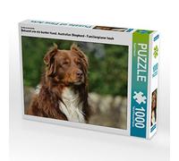 CALVENDO Puzzle Connu comme Un Chien coloré. Berger Australien - Planificateur Familial Haut 1000 Pieces 64 x 48 cm from Sista-Tierfoto