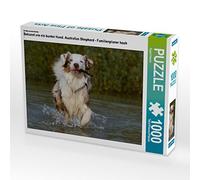 CALVENDO Puzzle Connu comme Un Chien coloré. Berger Australien - Planificateur Familial Haut 1000 Pieces 64 x 48 cm from Sista-Tierfoto
