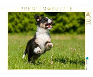 CALVENDO Puzzle Connu comme Un Chien coloré. Berger Australien - Planificateur Familial Haut 1000 Pieces 64 x 48 cm from Sista-Tierfoto