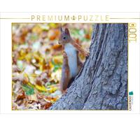 CALVENDO Puzzle Cooles Eichhörnchen 1000 Teile Puzzle quer 1000 Pieces 64 x 48 cm from Kattobello