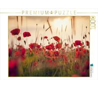 CALVENDO Puzzle Coquelicots dans la lumière du Soir 1000 Pieces 64 x 48 cm from Lain Jackson
